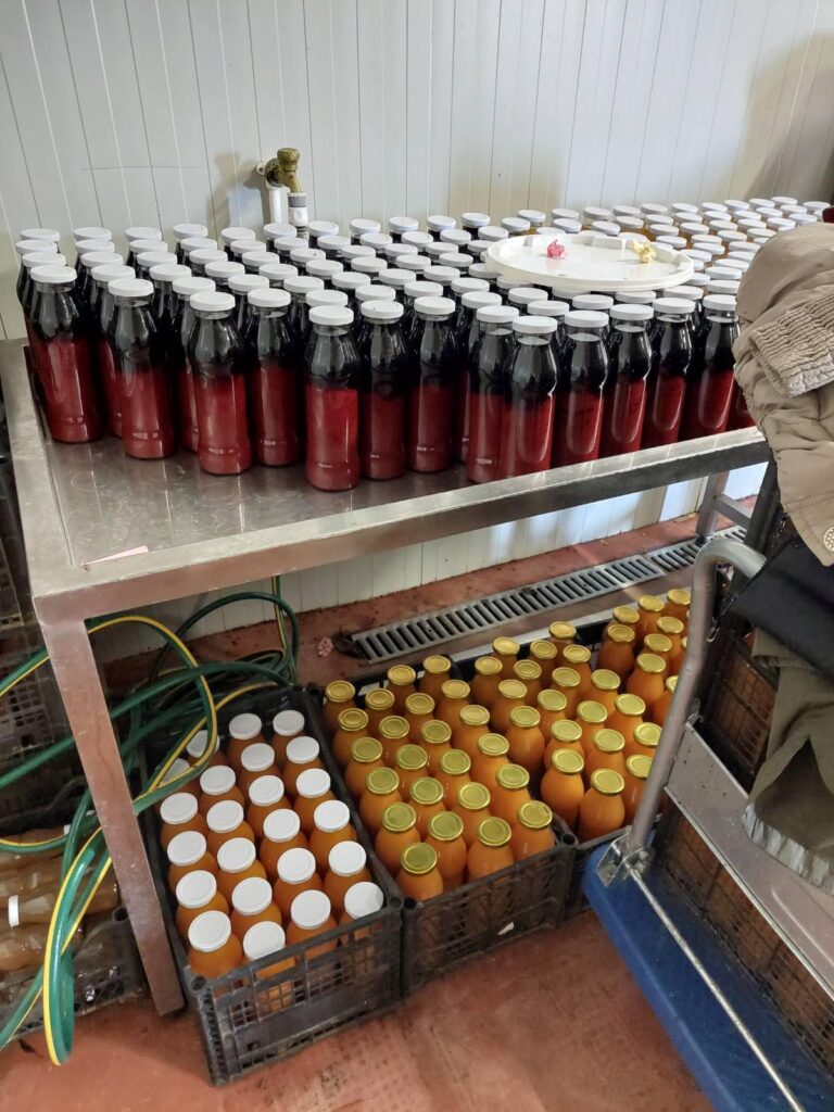 Припрема домаћих сокова